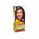 Tinta Salon Line Light Color 6.62 Marsala