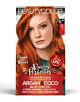 Tinta de Cabelo Permanente Beautycolor Ruivos Perfeitos Ruivo Absoluto 76.44