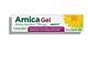 Arnica Gel Hidratante Para As Pernas 250mg/g 30g
