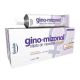 Gino-Mizonol Nitrato de Miconazol 20mg/g Creme Vaginal 80g + 14 aplicadores